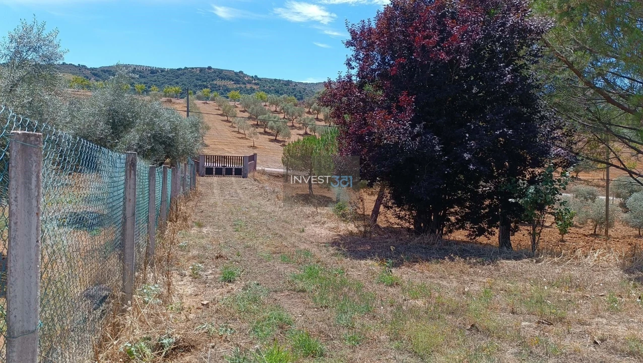 Moradia T3 para Venda em Morais Foto 9