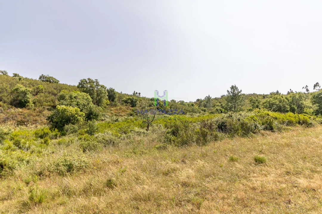 Terreno para Venda em Bordeira Foto 4