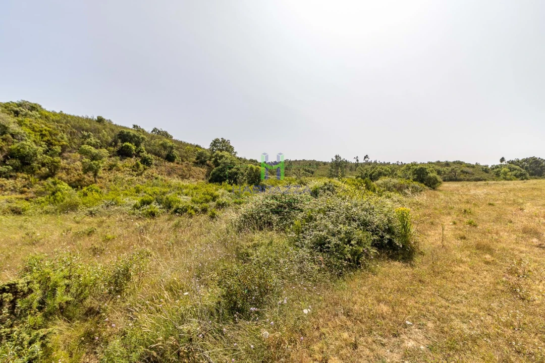 Terreno para Venda em Bordeira Foto 2