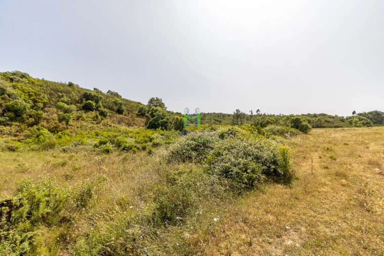 Terreno para Venda em Bordeira Foto 2