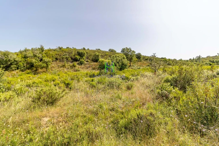 Terreno para Venda em Bordeira Foto 3