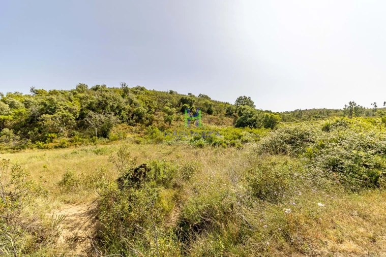 Terreno para Venda em Bordeira