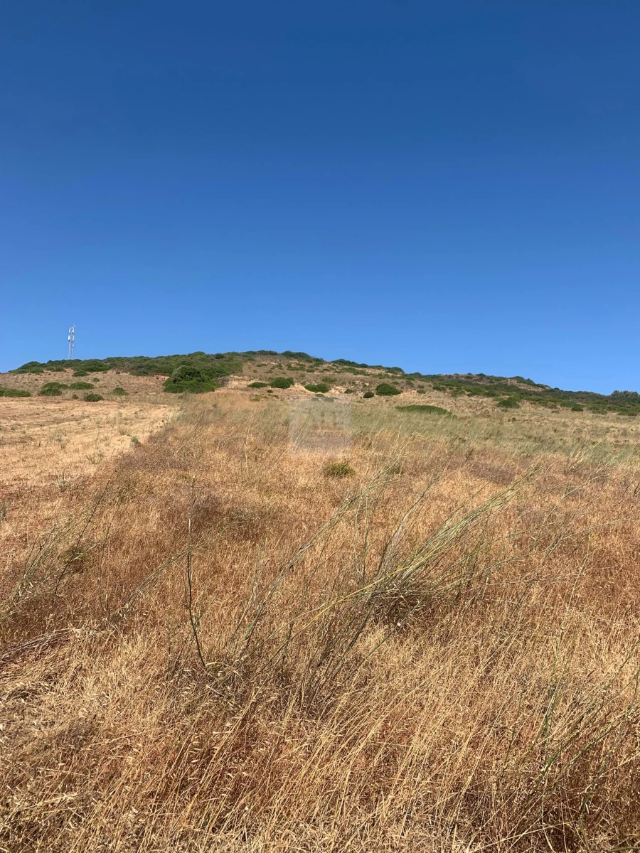 Terreno para Venda em Portimão Foto 5