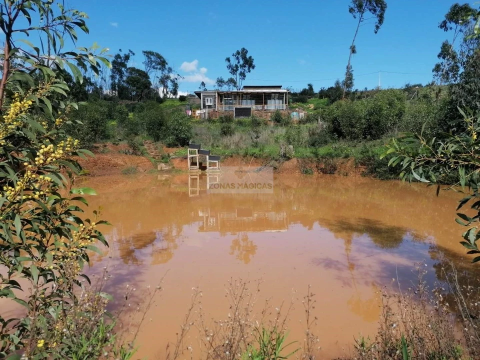 Terreno para Venda em Barão de São Miguel Foto 4