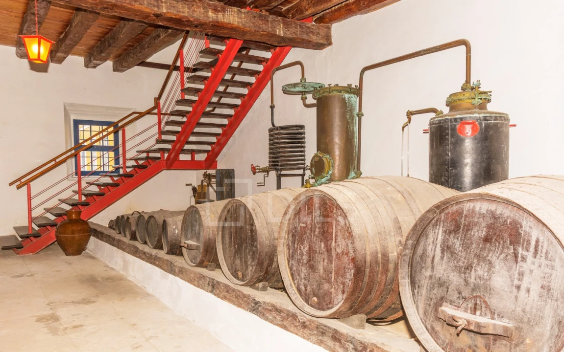 Quinta T20 para Venda em Valado dos Frades Foto 5