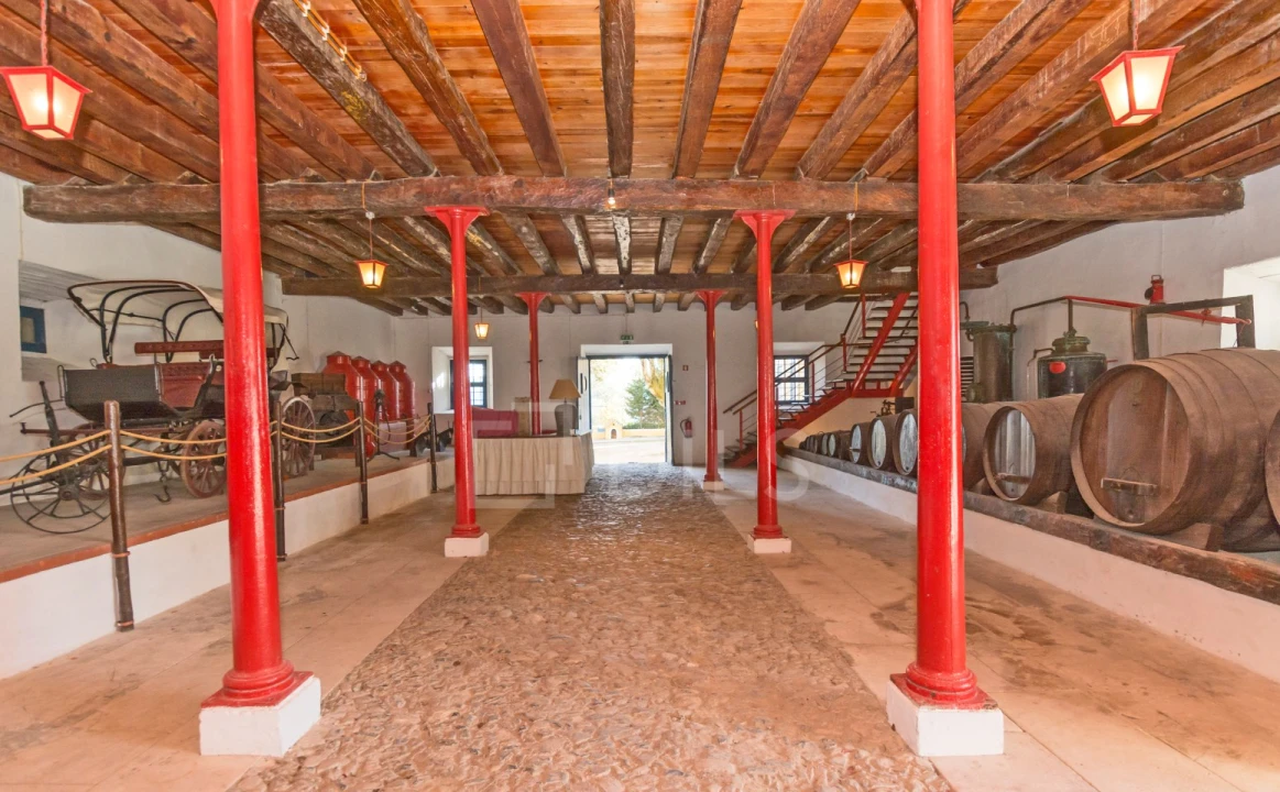 Quinta T20 para Venda em Valado dos Frades Foto 6