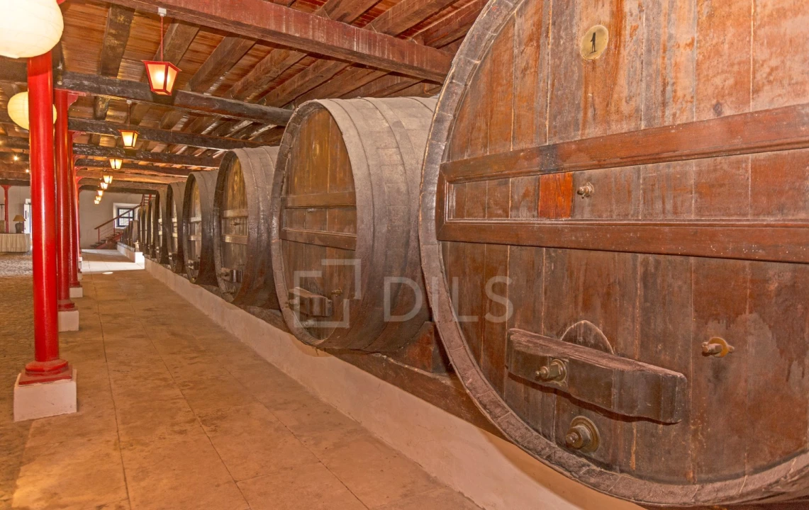 Quinta T20 para Venda em Valado dos Frades Foto 19