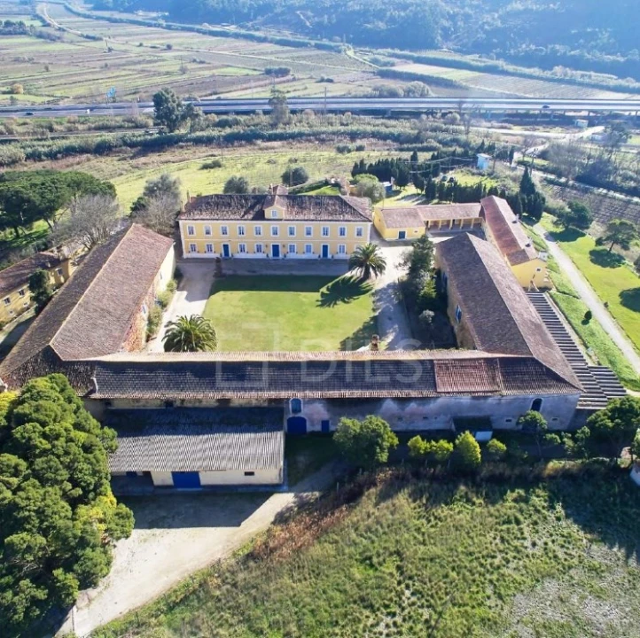 Quinta T20 para Venda em Valado dos Frades Foto 2