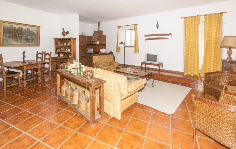 Quinta T20 para Venda em Valado dos Frades Foto 22