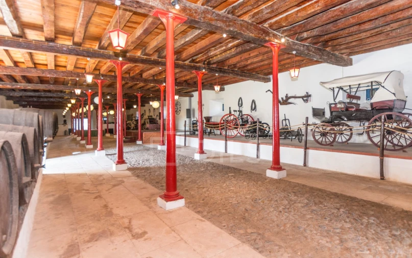 Quinta T20 para Venda em Valado dos Frades Foto 7