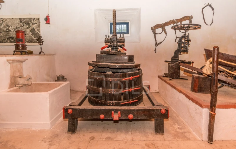 Quinta T20 para Venda em Valado dos Frades Foto 17