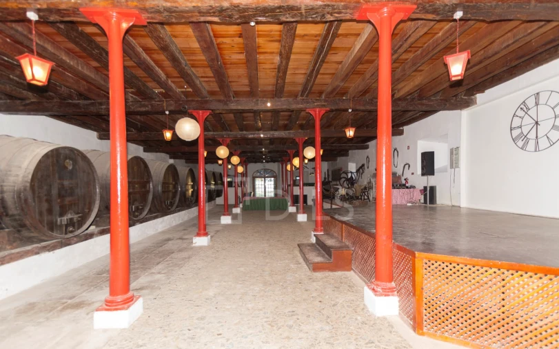 Quinta T20 para Venda em Valado dos Frades Foto 18