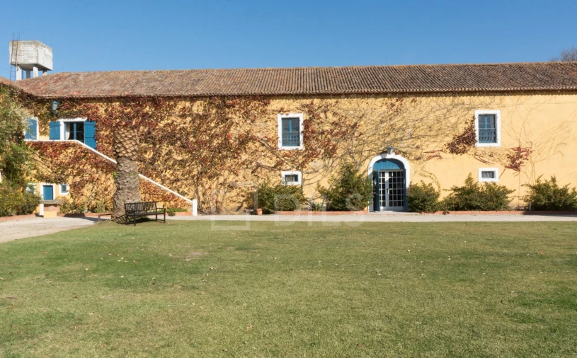 Quinta T20 para Venda em Valado dos Frades Foto 10