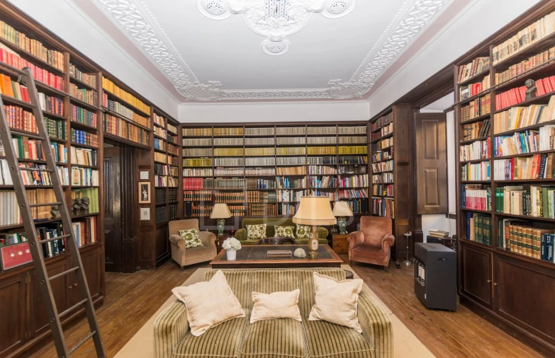 Quinta T20 para Venda em Valado dos Frades Foto 4