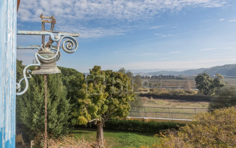 Quinta T20 para Venda em Valado dos Frades Foto 37