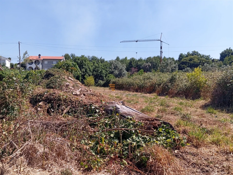 Terreno para Venda em Duas Igrejas Foto 1