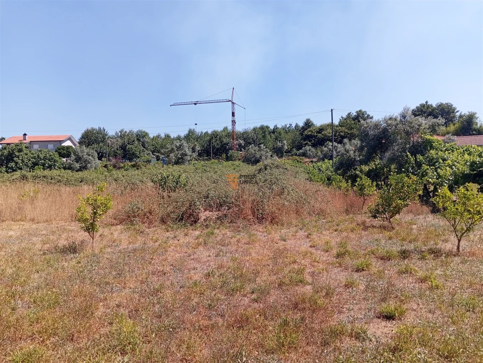 Terreno para Venda em Duas Igrejas Foto 12