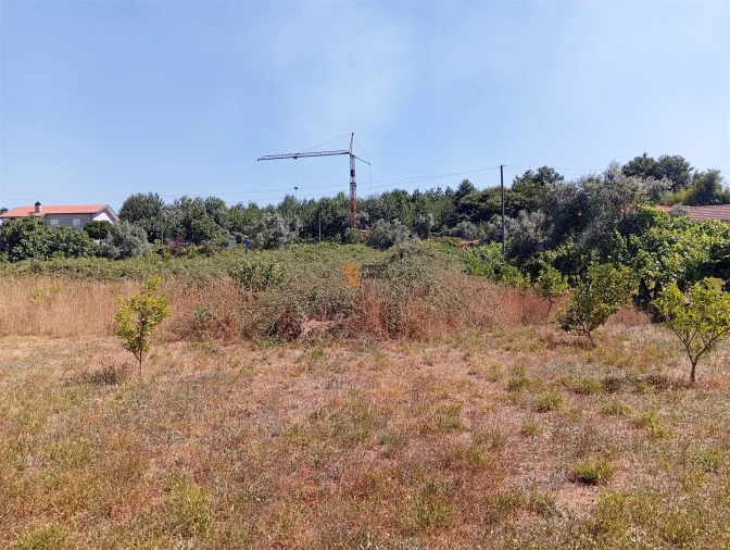 Terreno para Venda em Duas Igrejas Foto 12