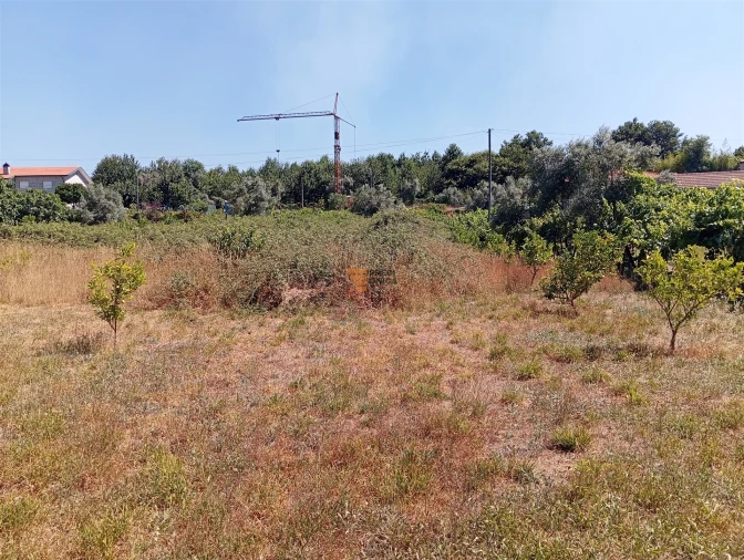 Terreno para Venda em Duas Igrejas Foto 14