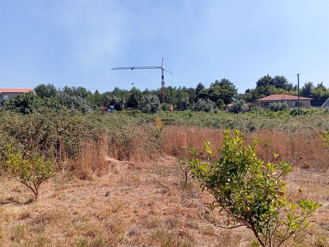 Terreno para Venda em Duas Igrejas Foto 10