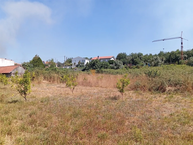 Terreno para Venda em Duas Igrejas Foto 13