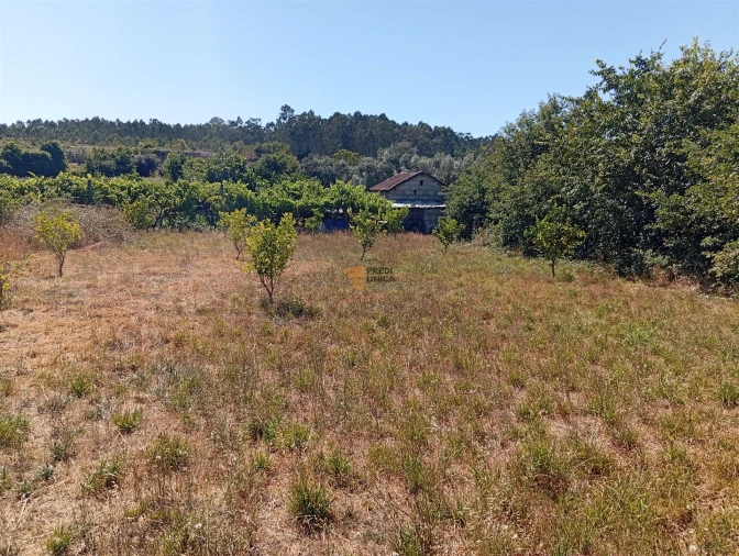 Terreno para Venda em Duas Igrejas Foto 7