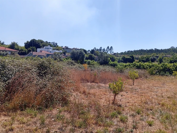 Terreno para Venda em Duas Igrejas Foto 8