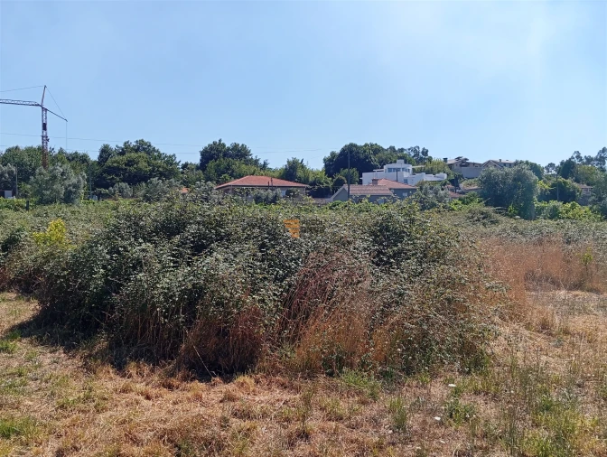 Terreno para Venda em Duas Igrejas Foto 9