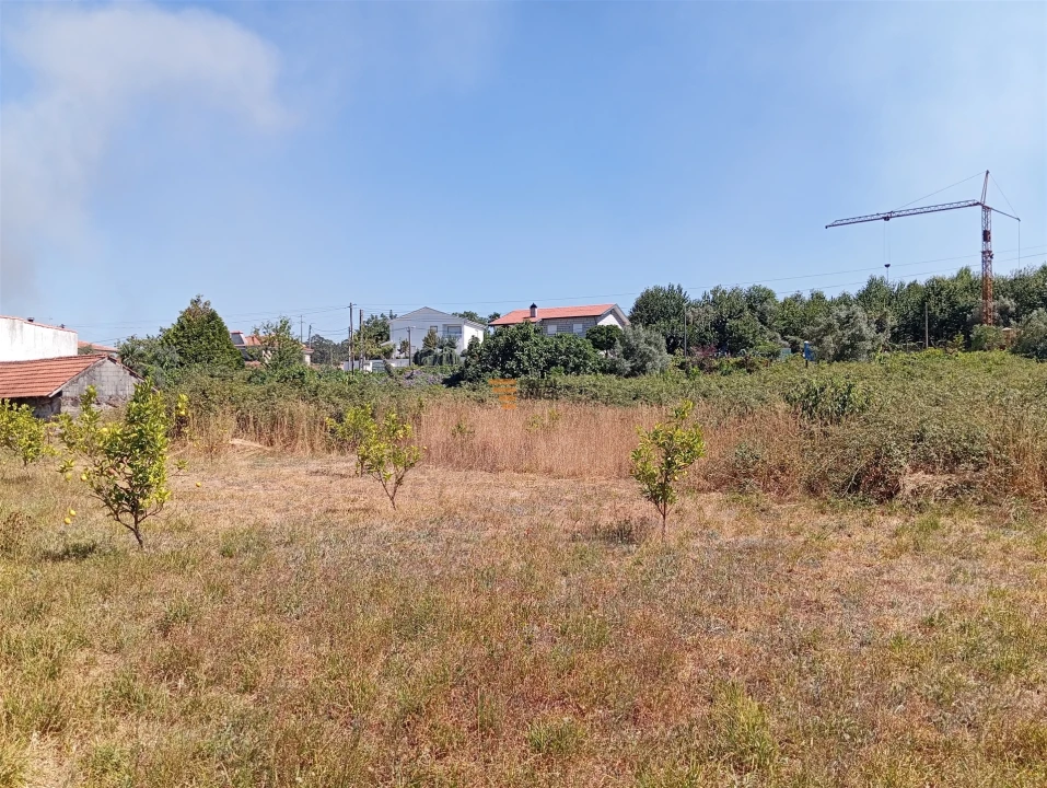 Terreno para Venda em Duas Igrejas Foto 13