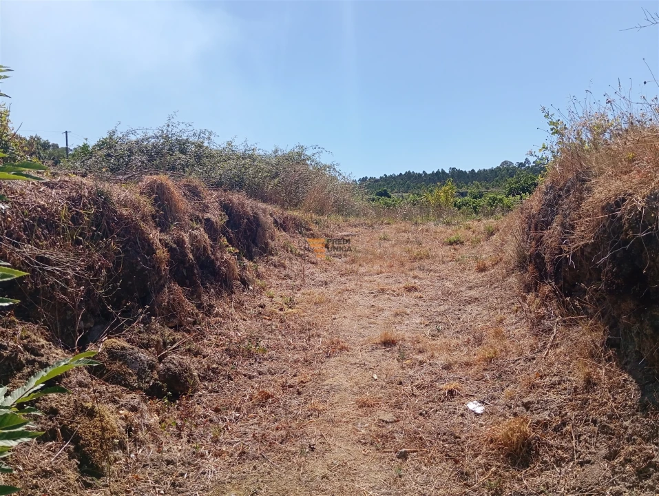 Terreno para Venda em Duas Igrejas Foto 6