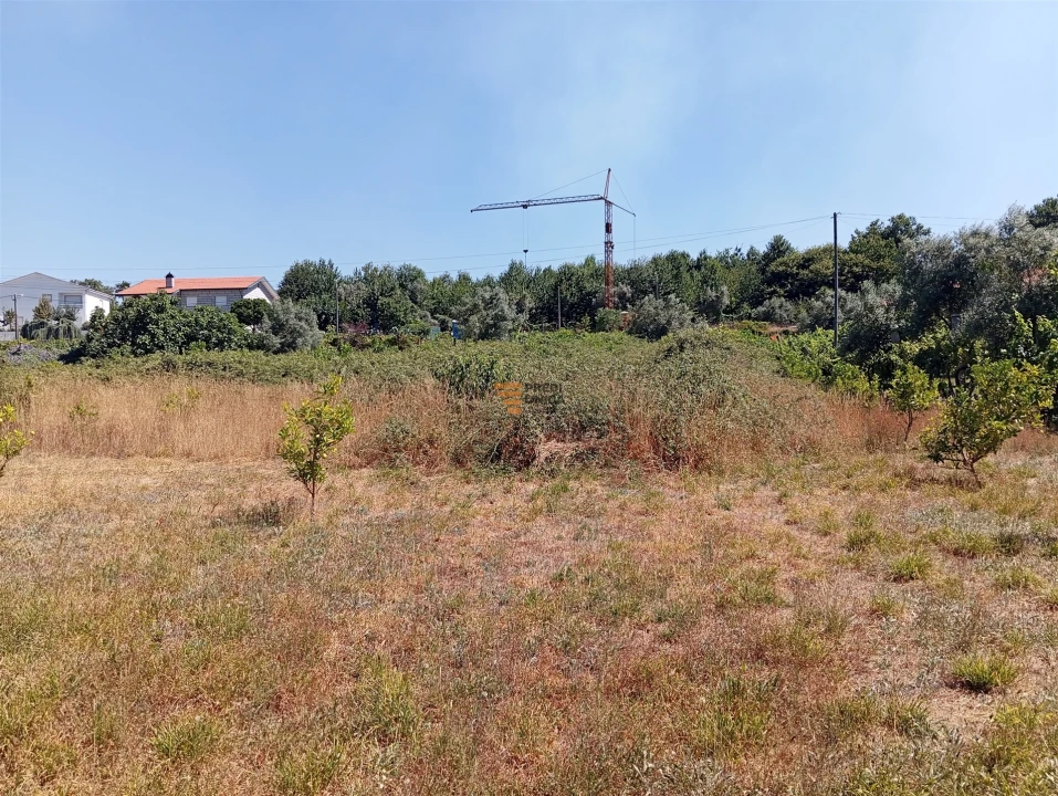 Terreno para Venda em Duas Igrejas Foto 11