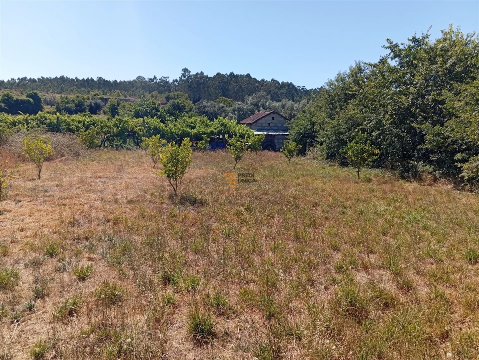 Terreno para Venda em Duas Igrejas Foto 7