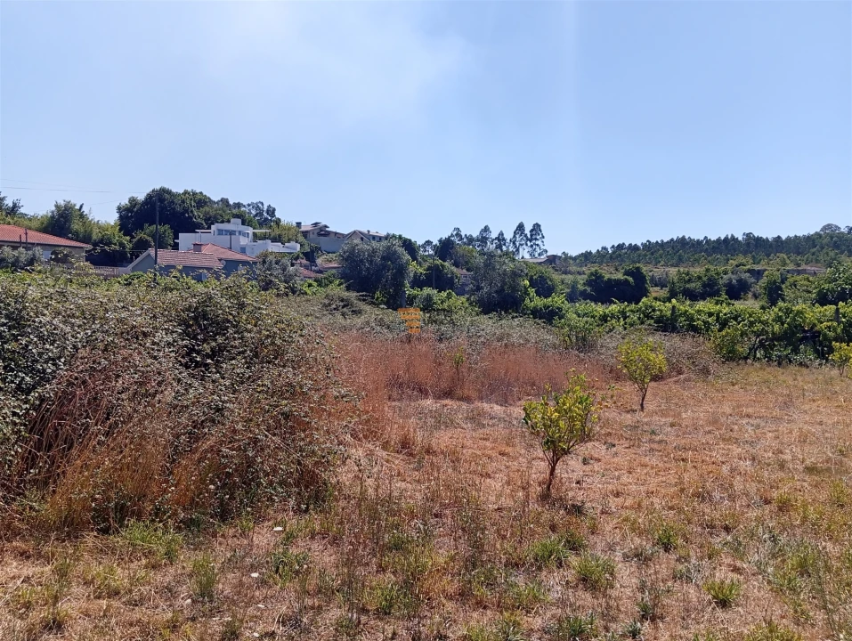 Terreno para Venda em Duas Igrejas Foto 8