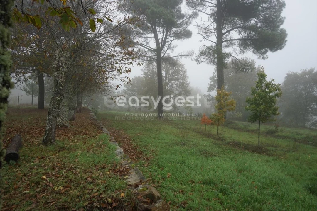 Terreno para Venda em Pera do Moço Foto 2