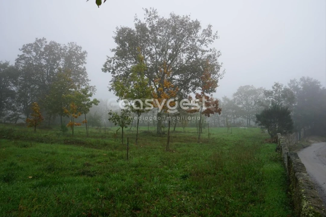 Terreno para Venda em Pera do Moço Foto 5