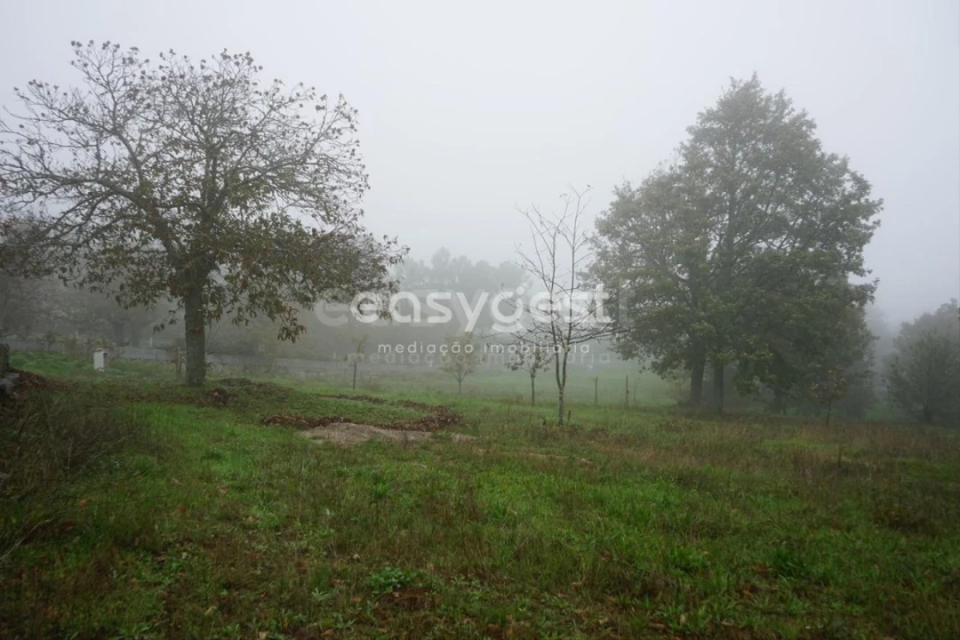 Terreno para Venda em Pera do Moço Foto 6