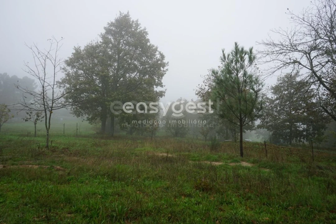 Terreno para Venda em Pera do Moço Foto 7
