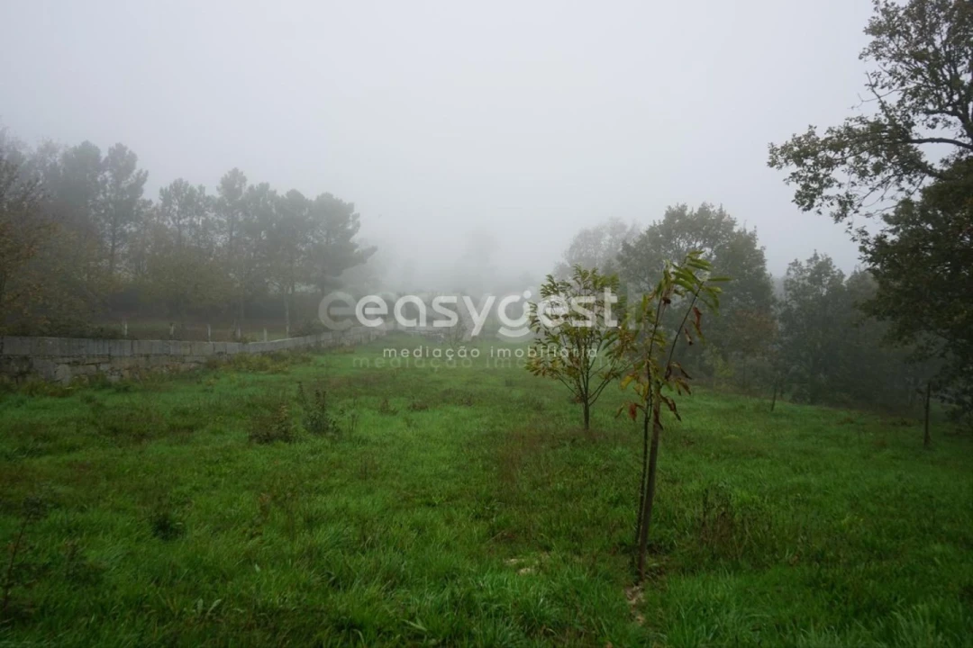 Terreno para Venda em Pera do Moço Foto 8