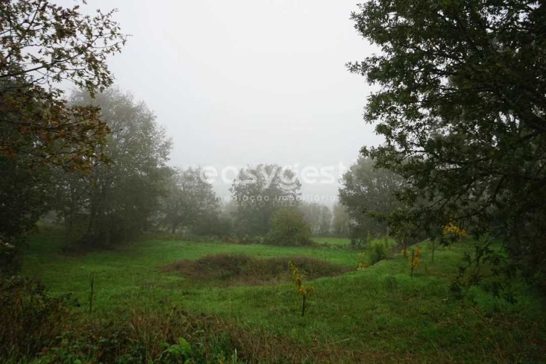 Terreno para Venda em Pera do Moço Foto 9