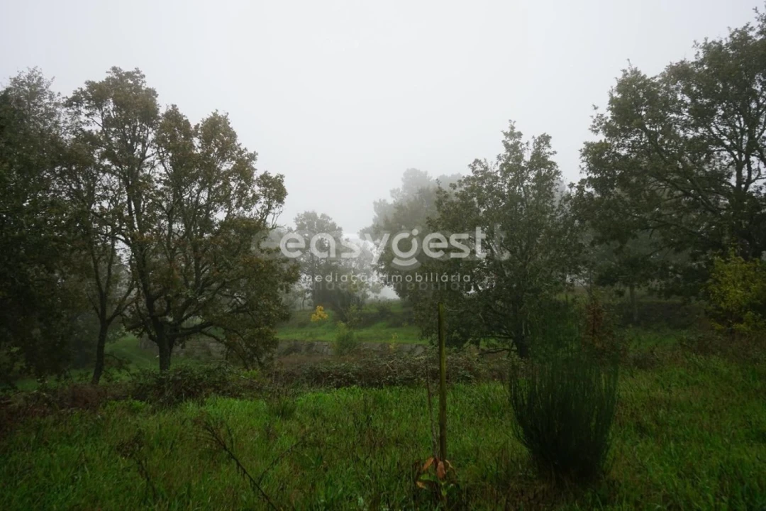 Terreno para Venda em Pera do Moço Foto 10