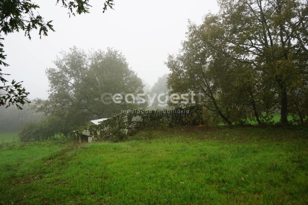 Terreno para Venda em Pera do Moço Foto 11