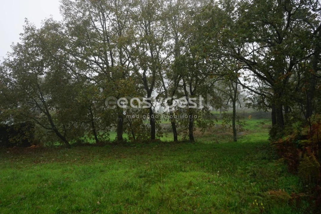 Terreno para Venda em Pera do Moço Foto 12