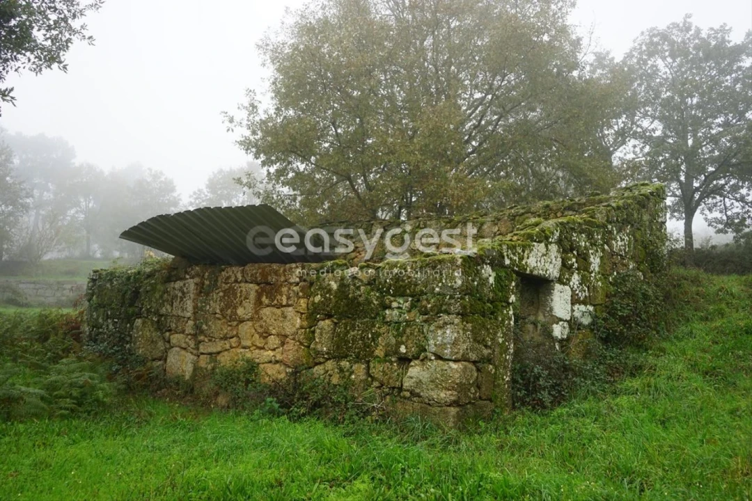 Terreno para Venda em Pera do Moço Foto 13