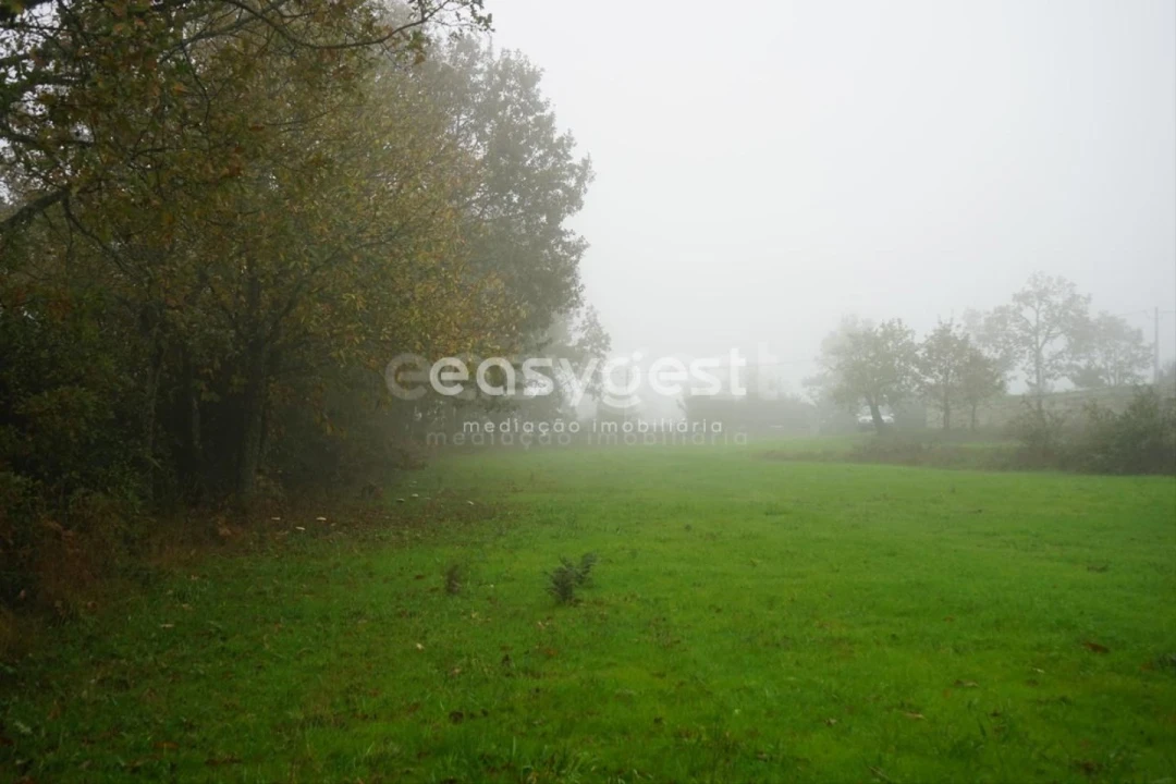 Terreno para Venda em Pera do Moço Foto 15