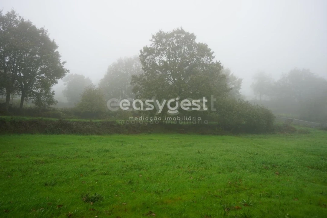 Terreno para Venda em Pera do Moço Foto 16