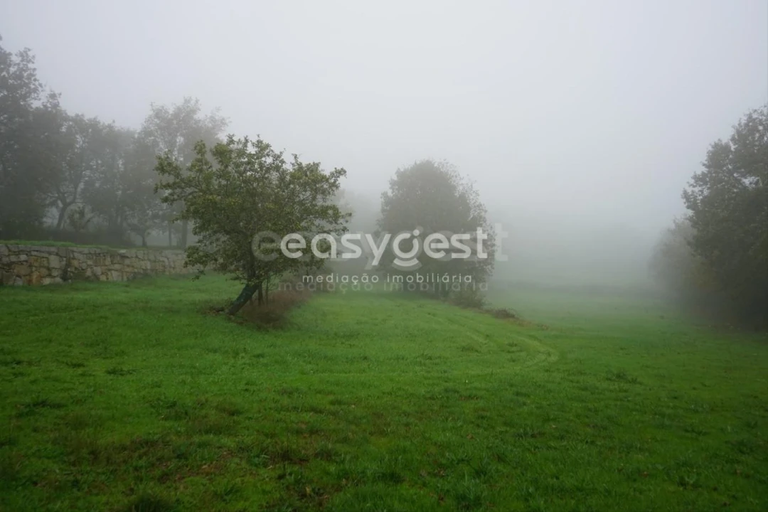 Terreno para Venda em Pera do Moço Foto 19