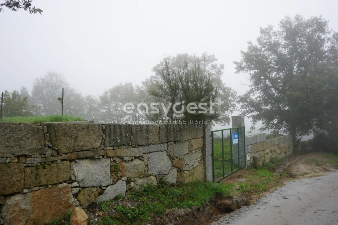 Terreno para Venda em Pera do Moço Foto 20