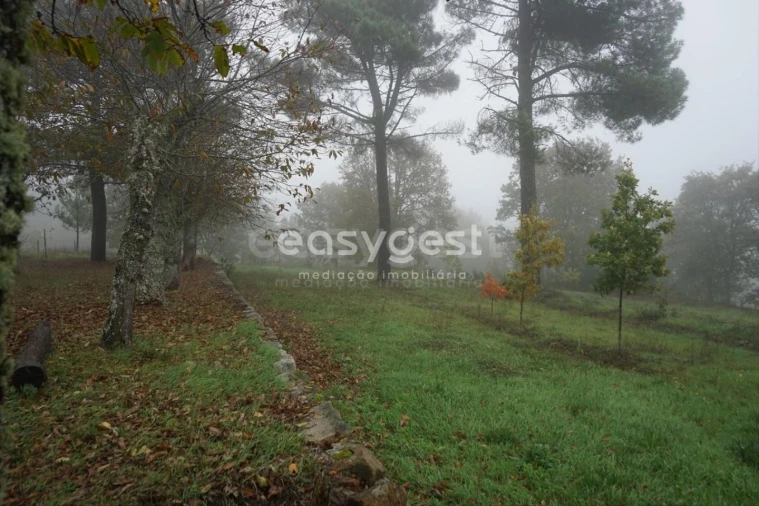 Terreno para Venda em Pera do Moço Foto 2