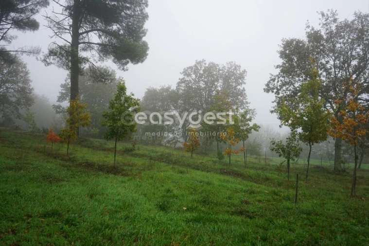 Terreno para Venda em Pera do Moço Foto 3