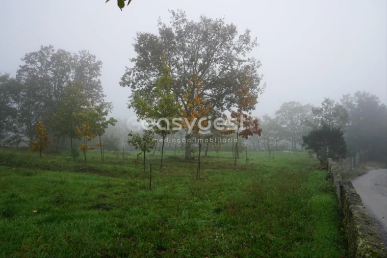 Terreno para Venda em Pera do Moço Foto 4
